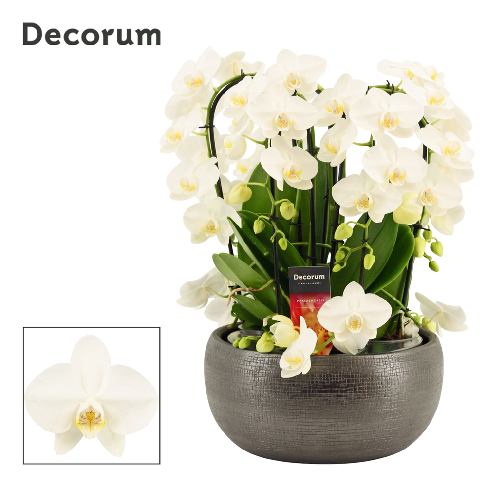 Nero twirl 9 tak symphony white (Deco-collection).