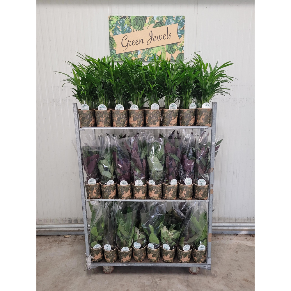Groen Mix p14 in HOES GREEN JEWELS.