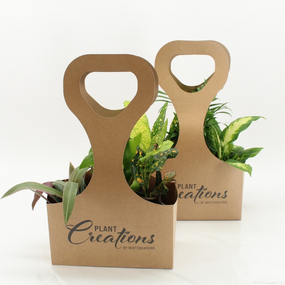 Tas 3 Ecotas met 3 planten.