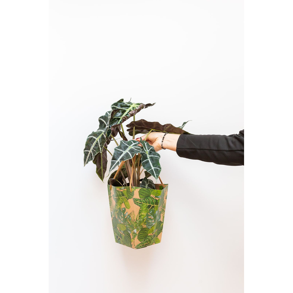 Groen Mix 17 in DRAAGTAS GREEN JEWELS.