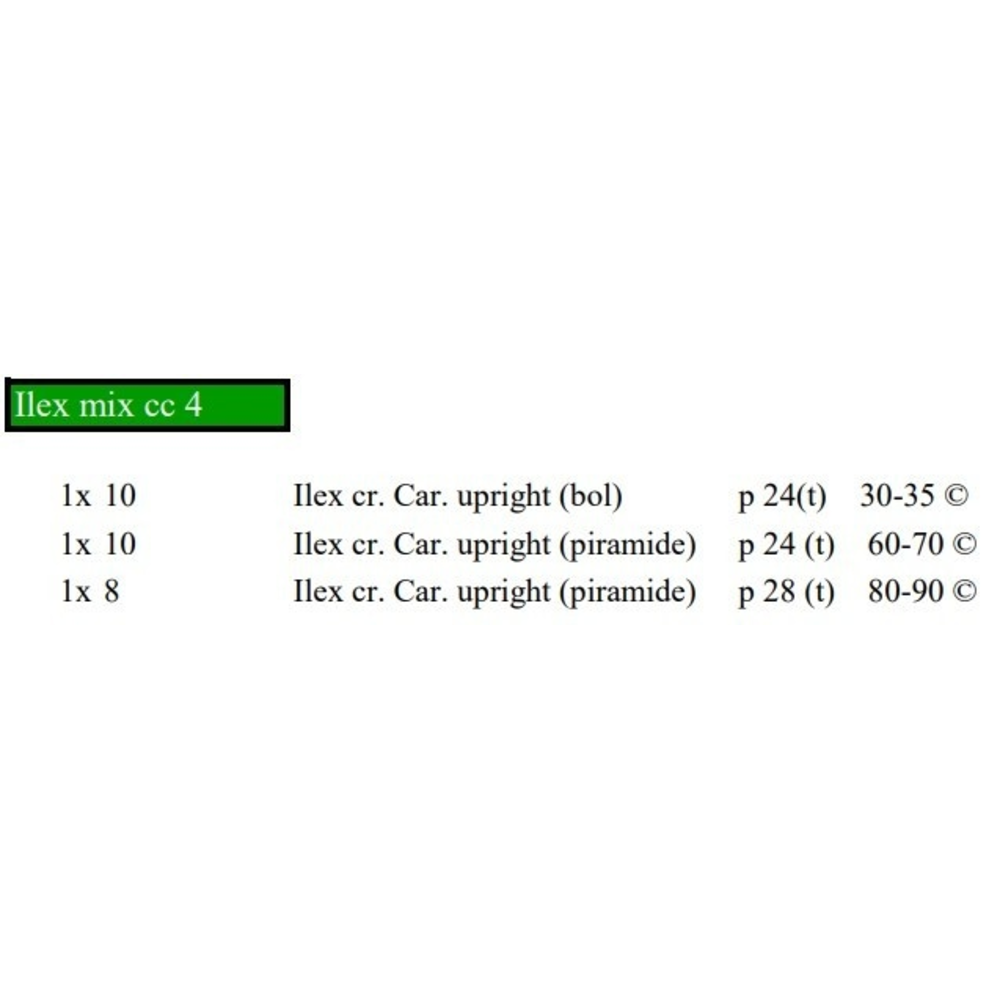 Ilex mix cc 4.