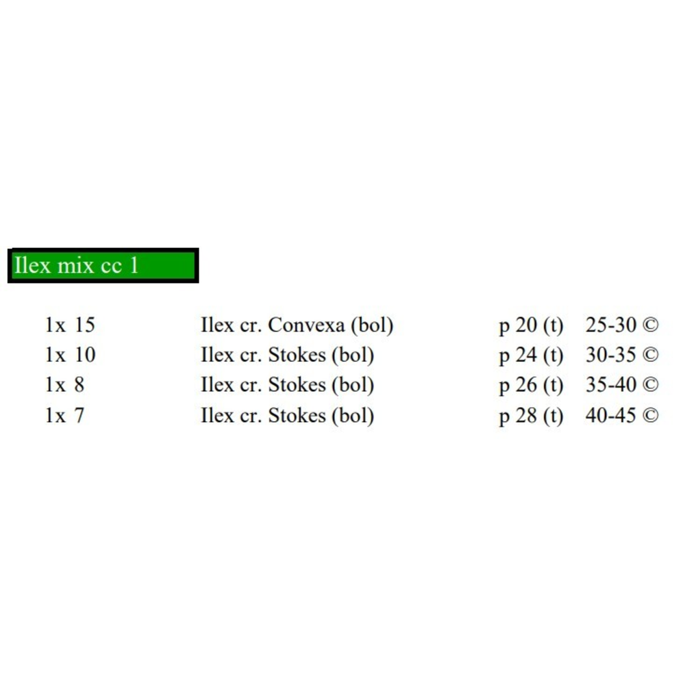 Ilex mix cc 1.