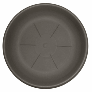 Saucers Rotondo 10.