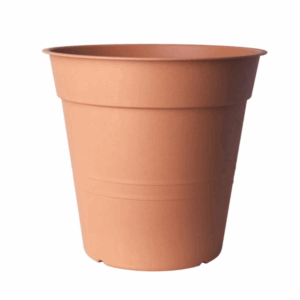 Vaso Fly 35.