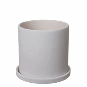 Ganesh Rockstone m/underfad.