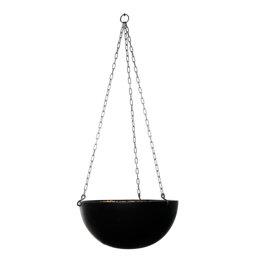 Allegria Ampel / With Chain.