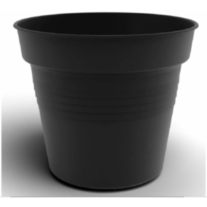 Flower Pot Camelie 12.