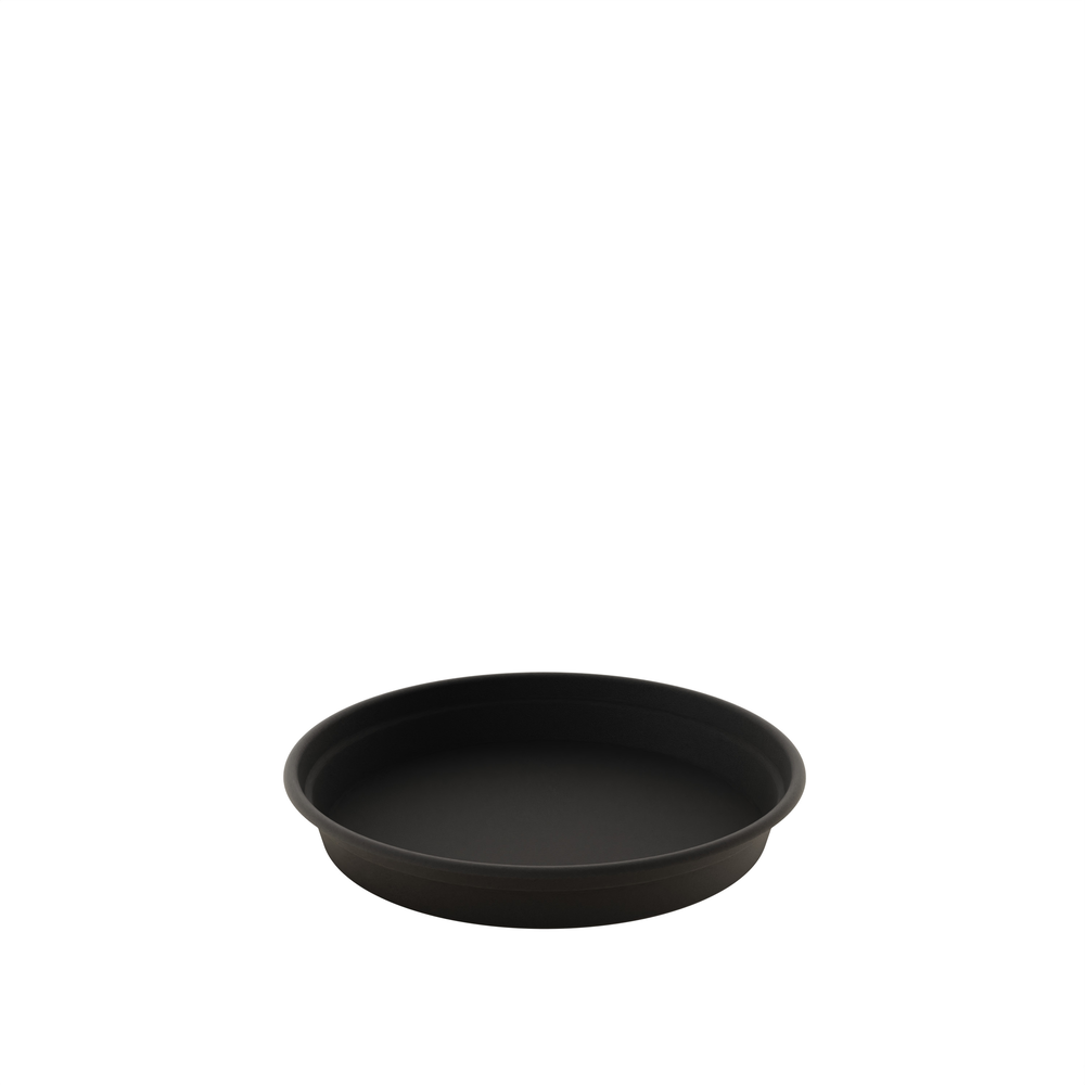 Saucer Camelie 15.
