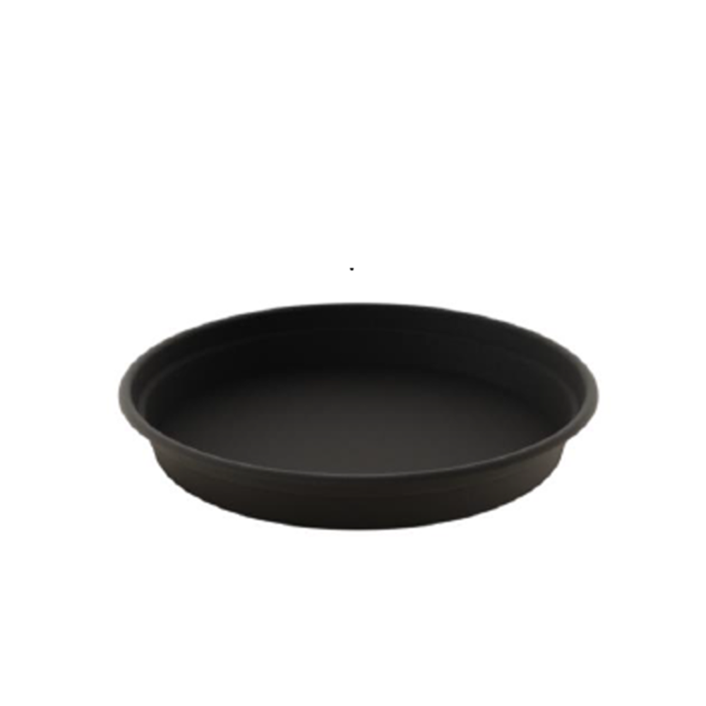 Saucer Camelie 18.