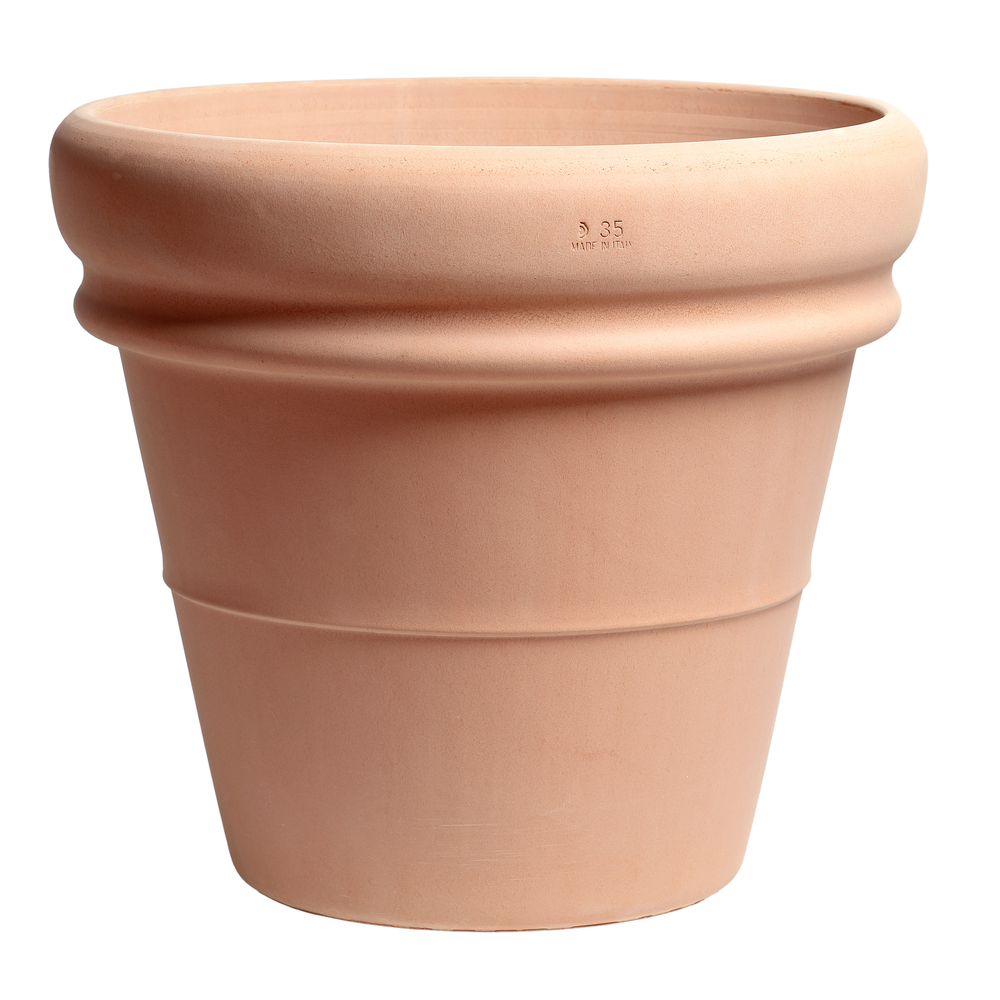 Doppio Bordo Arena 51.