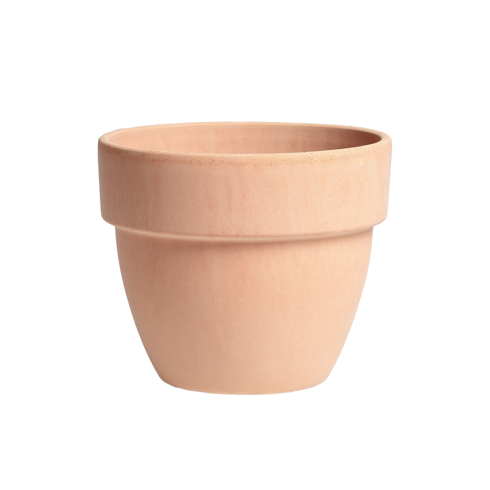 Vaso Palladio Arena.