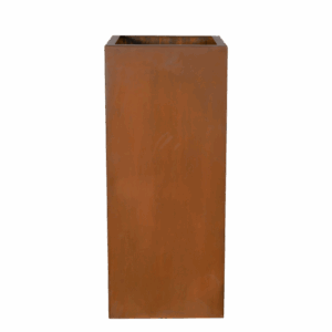 Tadmor Cortensteel High.