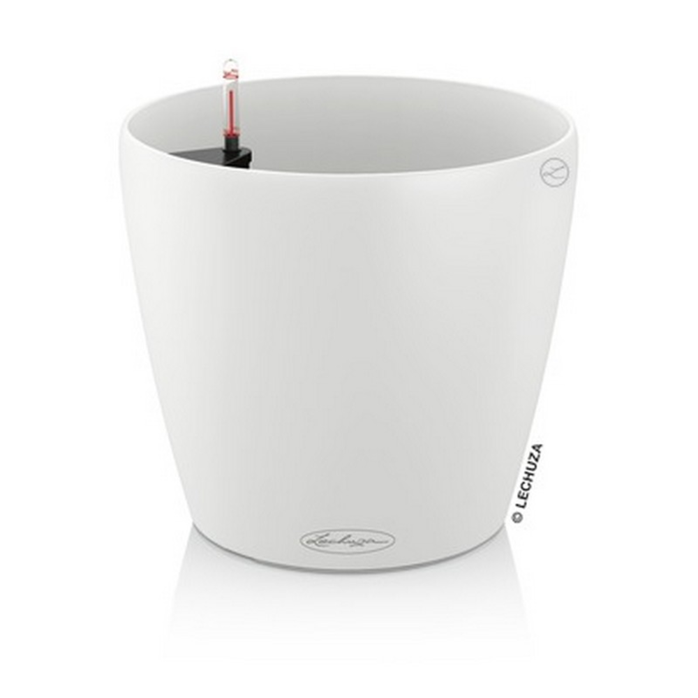 CLASSICO Color 35 - All-In-One white.