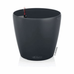 CLASSICO Color 43 - All-In-One slate.