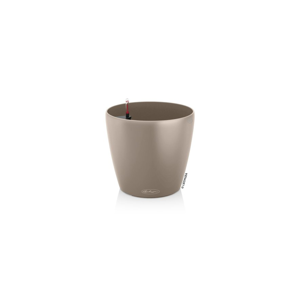CLASSICO Color 70 - All-In-One sand brown.