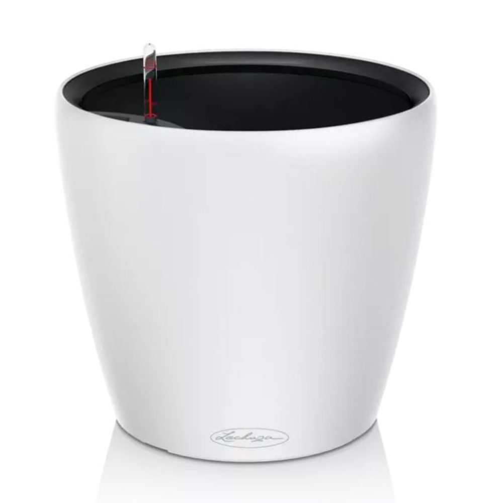 CLASSICO Color LS 21 - All-in-one White.