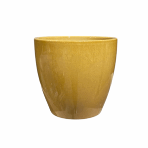 Mustard Pot Yellow.