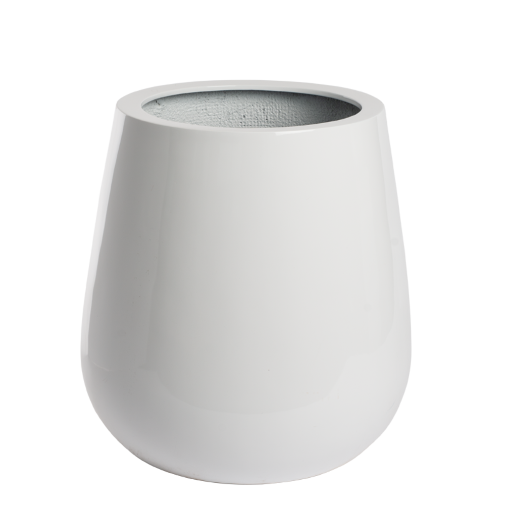 Donga Mini Blank.