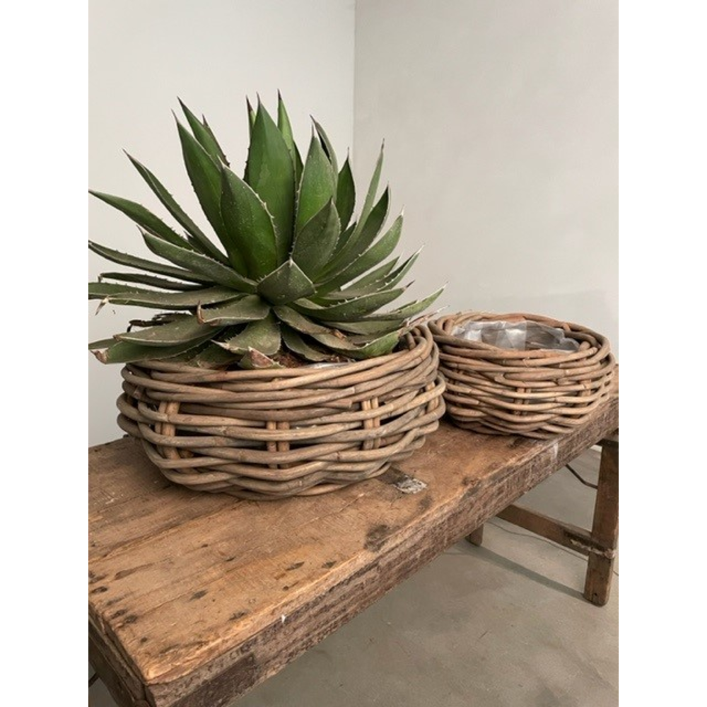 Basket Bowl Rattan incl. plastic lining Set 2.