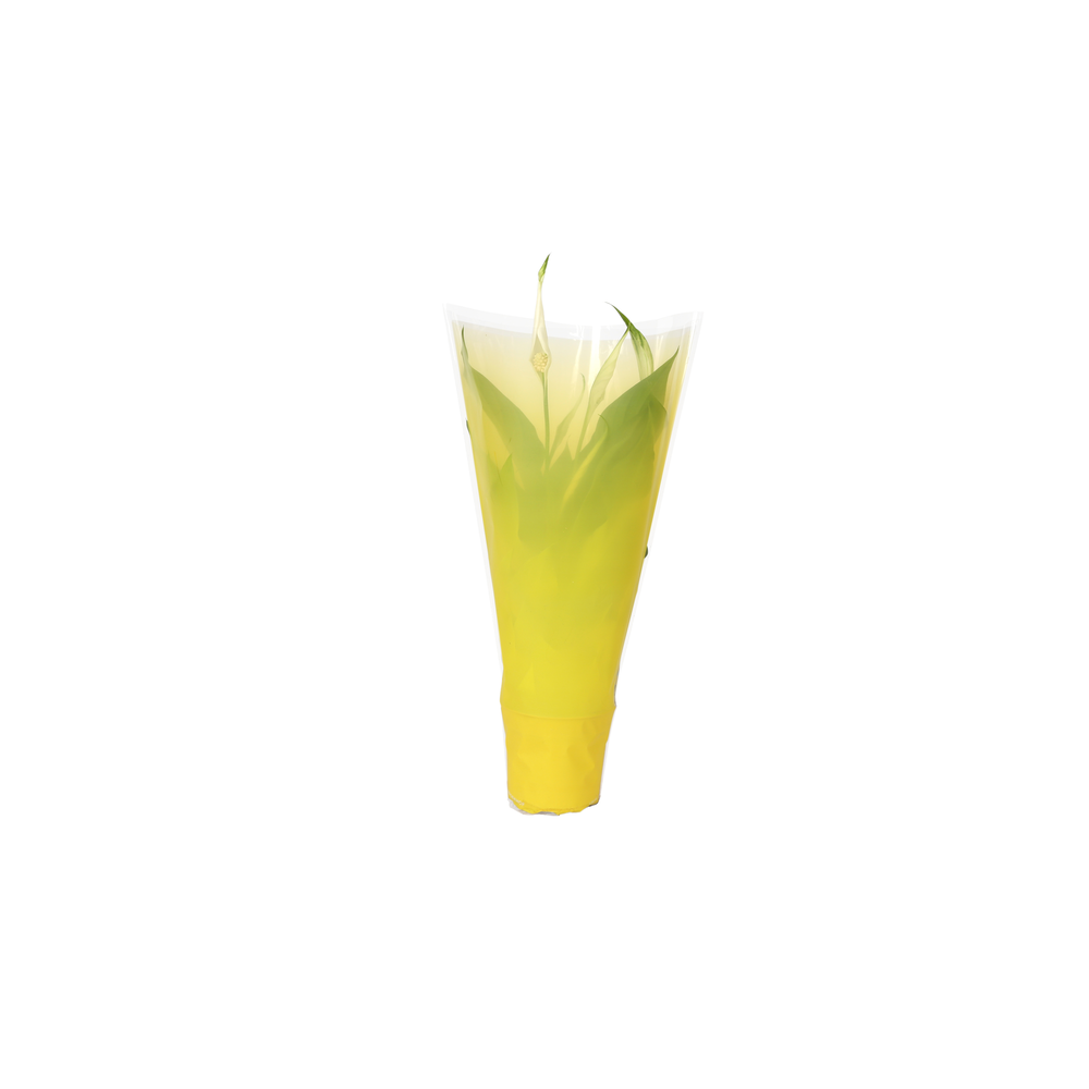 KP-794.1 GL - Spathiphyllum 9cm In gele hoes.