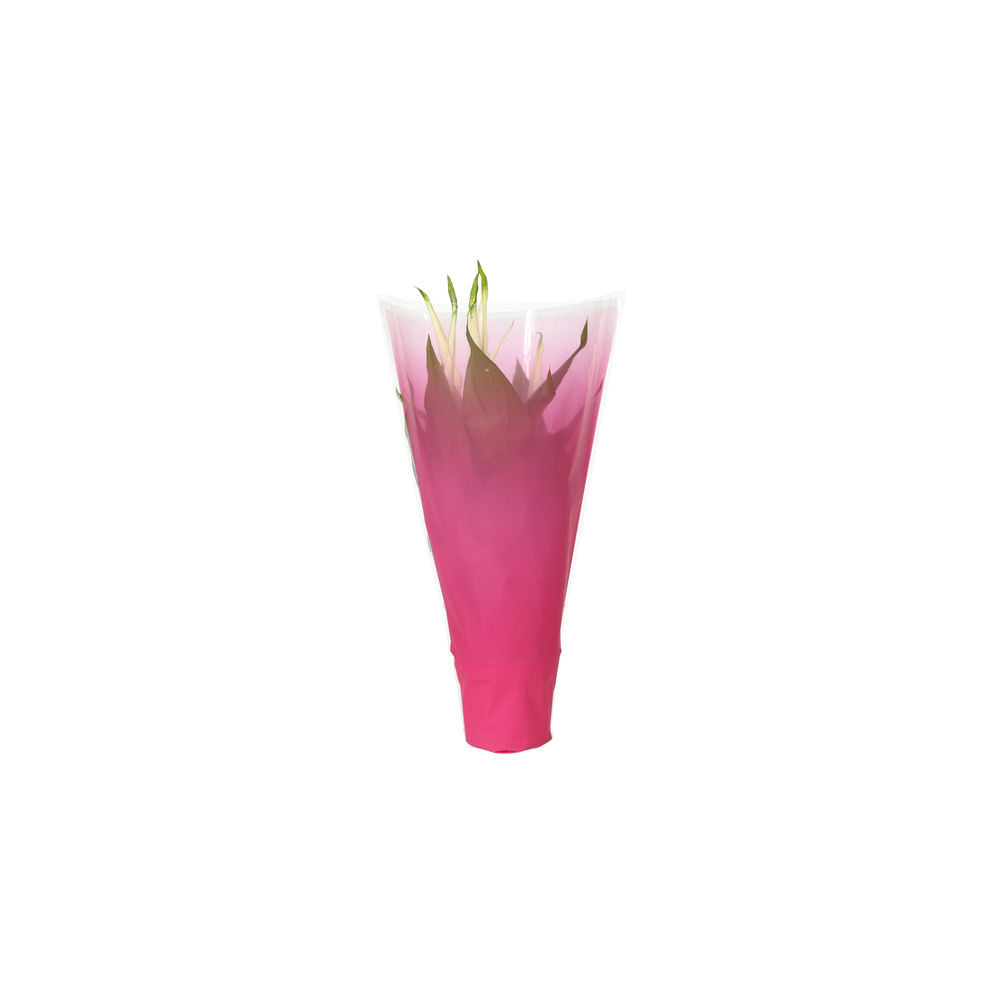 KP-794.1 RZ - Spathiphyllum 9cm in roze.