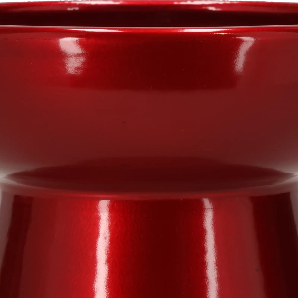 Closeup af Amaryllis Vase Red.