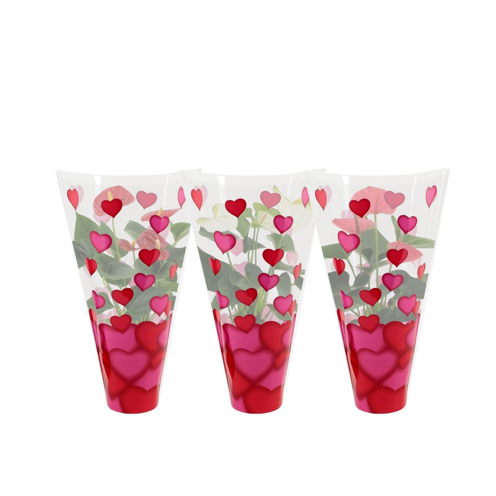 Anthurium 3 color mix in heart sleeve Lilly.