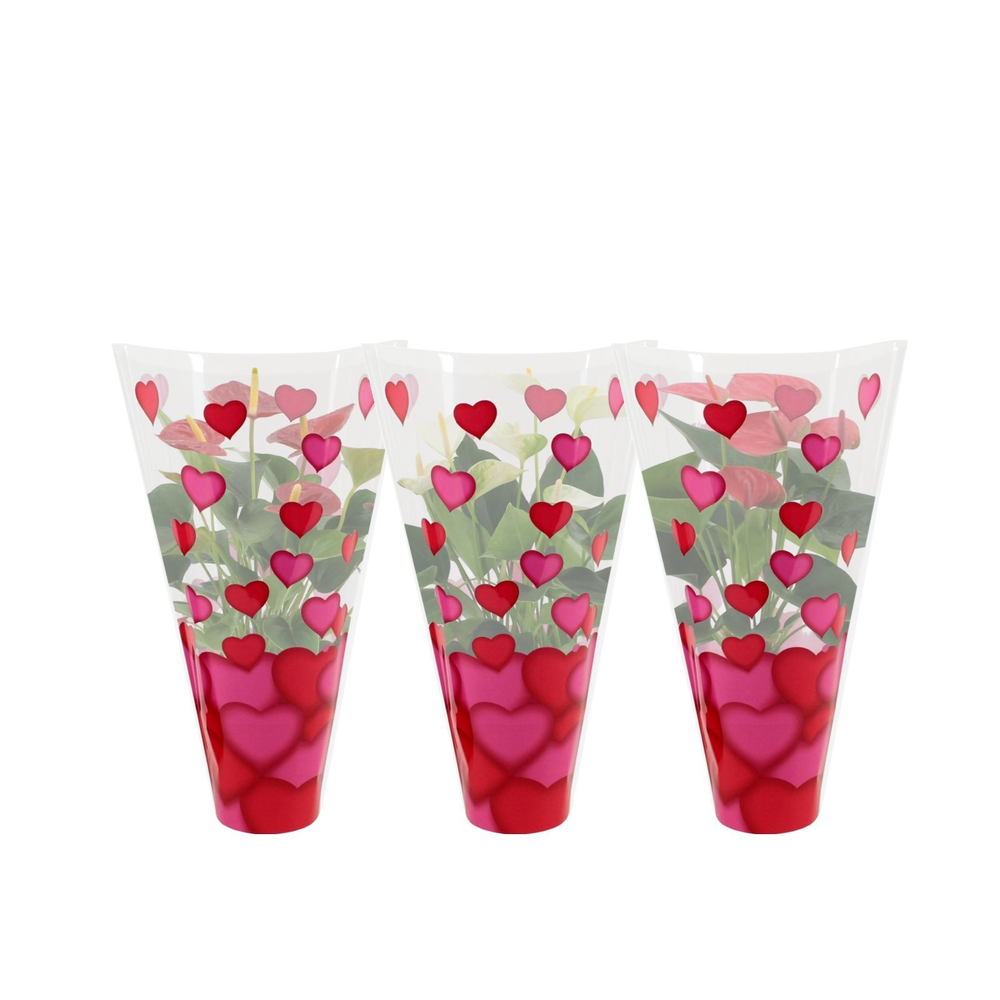 Anthurium 3 color mix in heart sleeve Lilly.