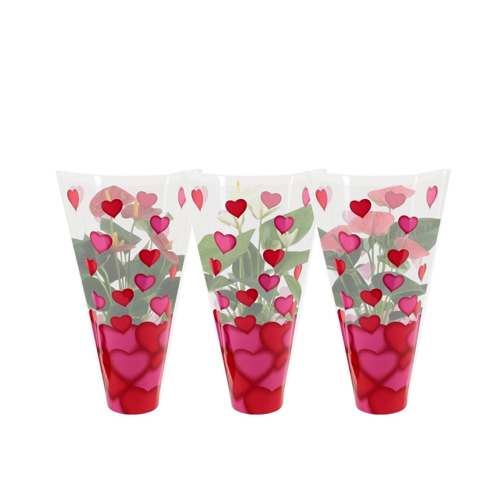 Anthurium 3 color mix in heart sleeve Lilly.