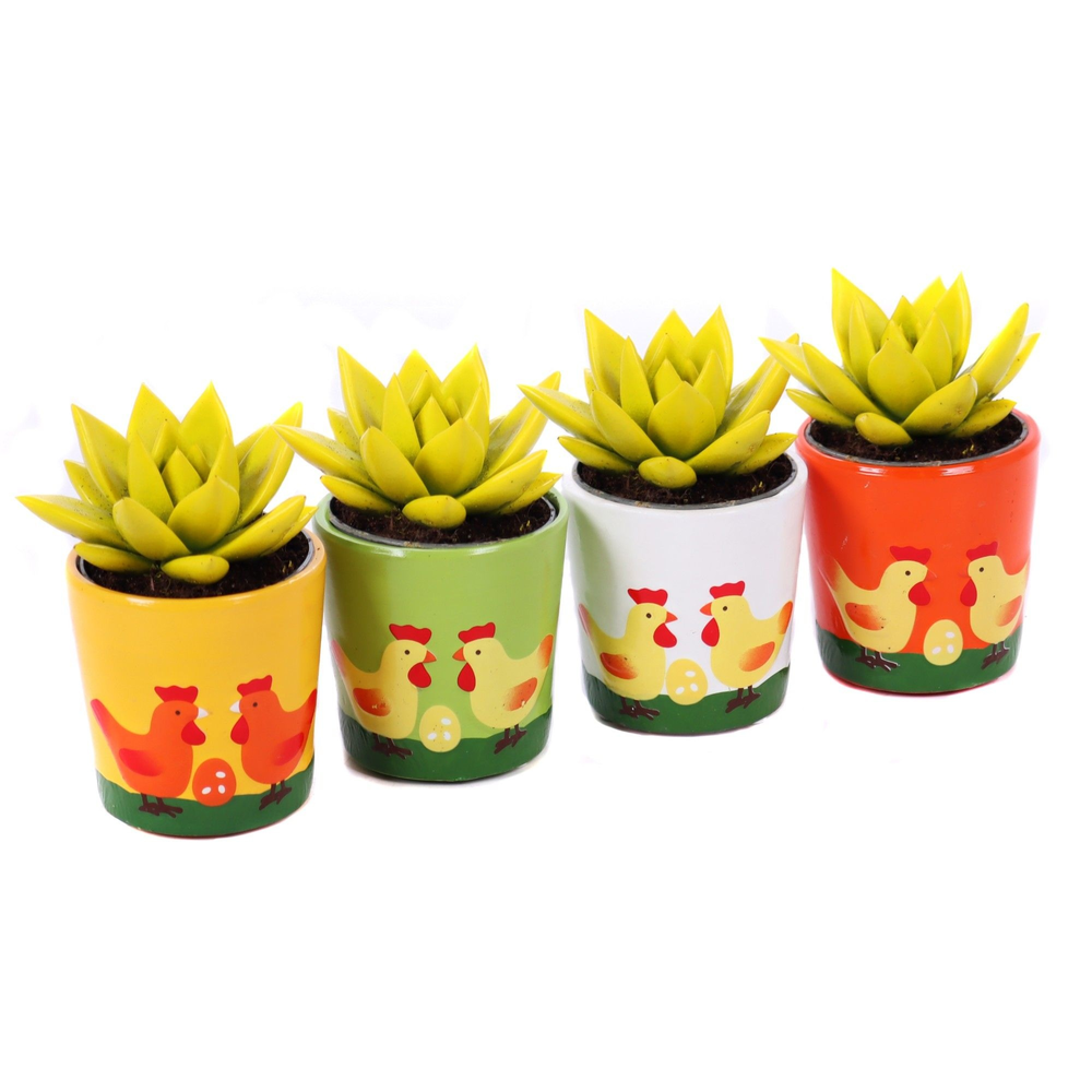 Echeveria geel geverfd 6 cm in paaskuiken sierpot .