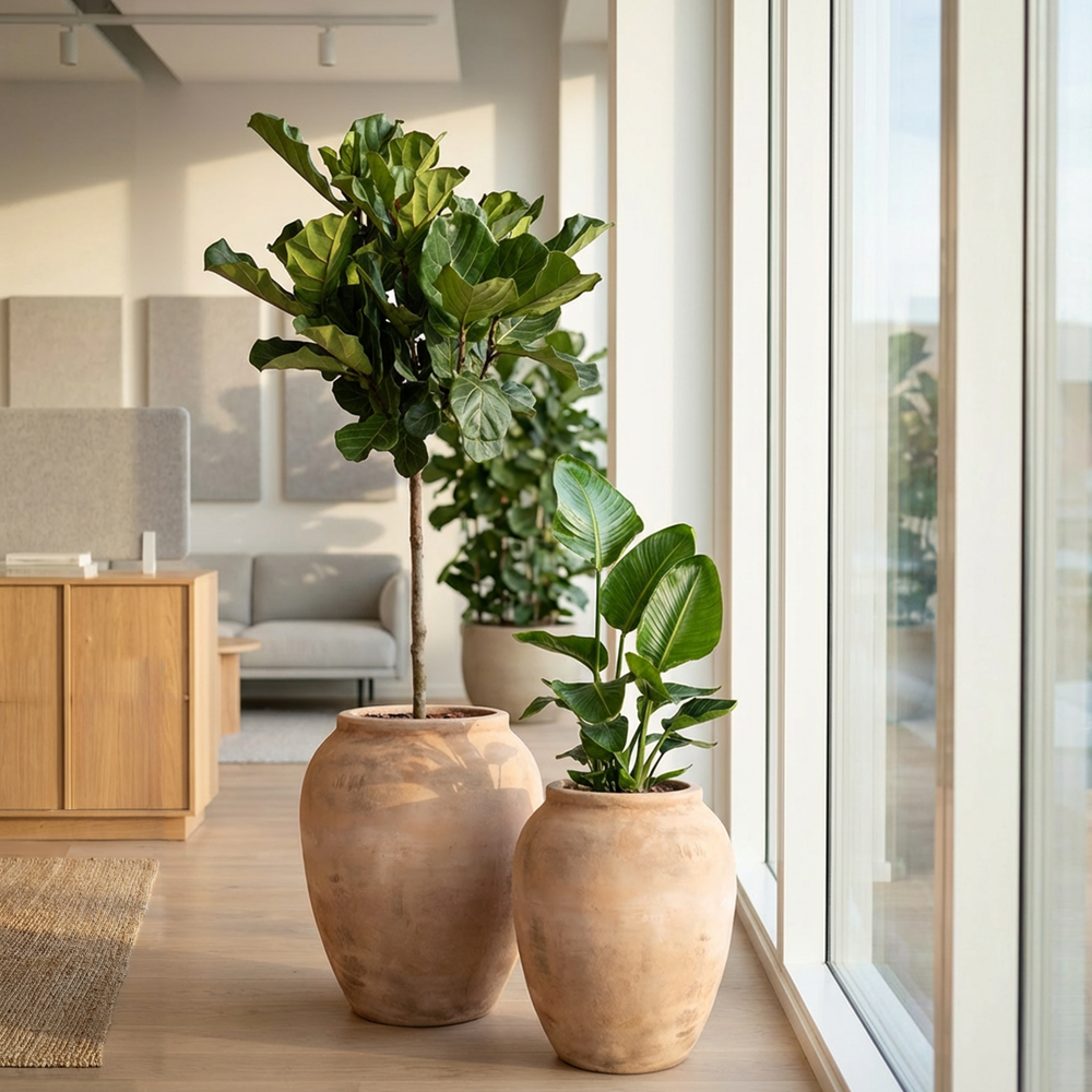 Karakoram Terracotta Antique Choco.