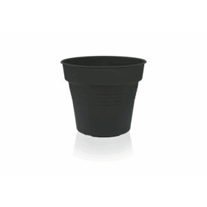 Flower Pot Camelie 21.