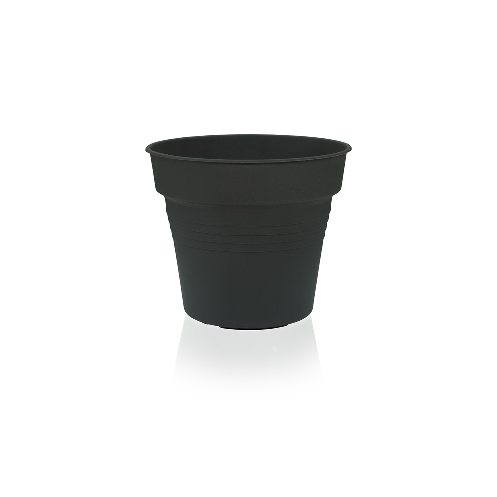 Flower Pot Camelie 36.