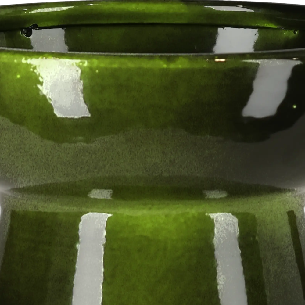 Closeup af Amaryllis Vase Green.