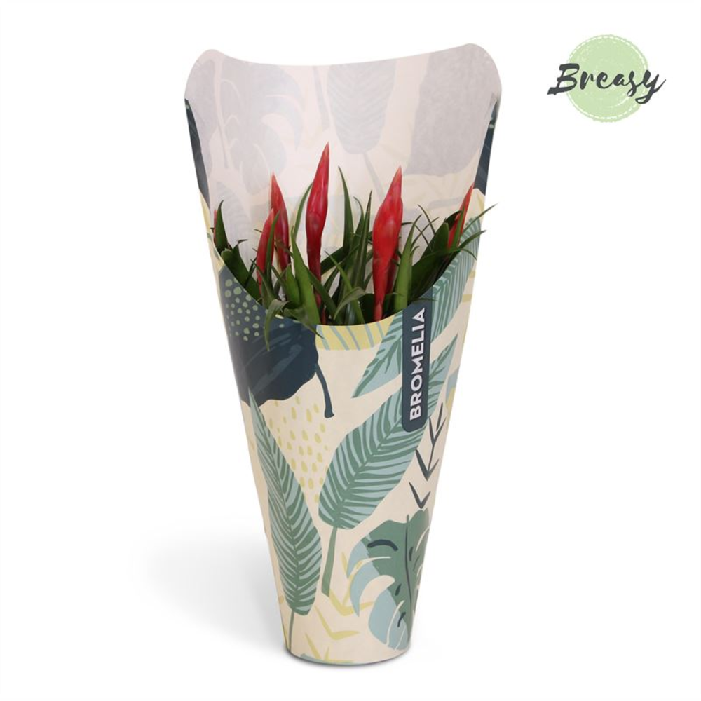 Multiflower Astrid Jungle kraft.