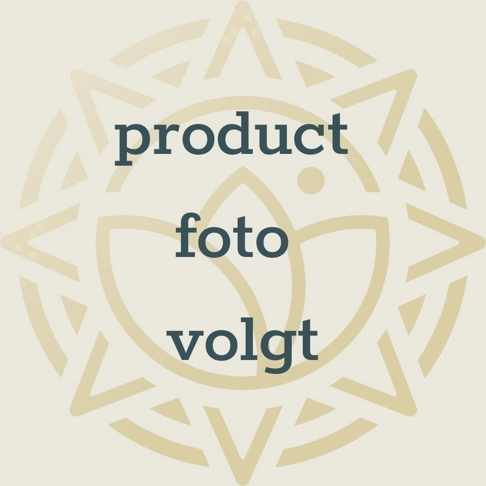 Peperomia Mistique 12cm.