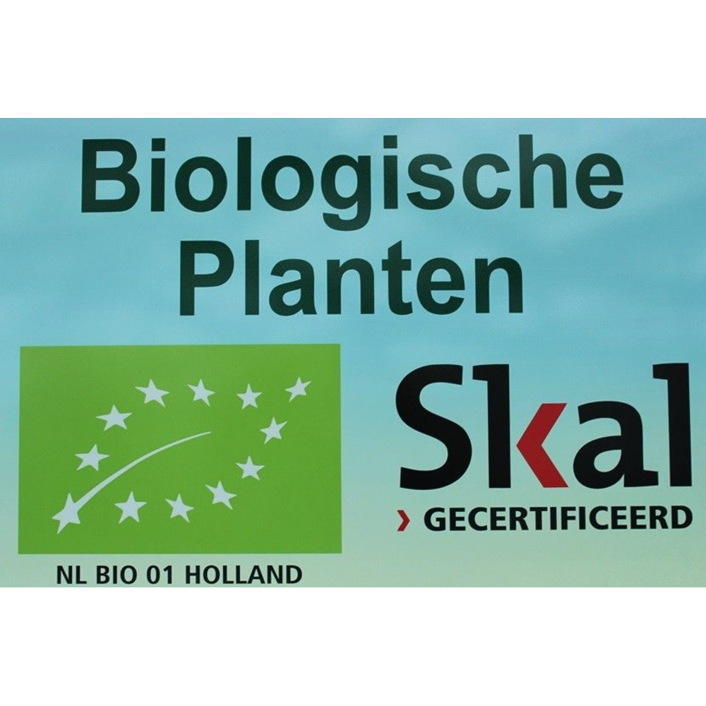 Bio Euphorbia tirucalli 20-TIRU15.