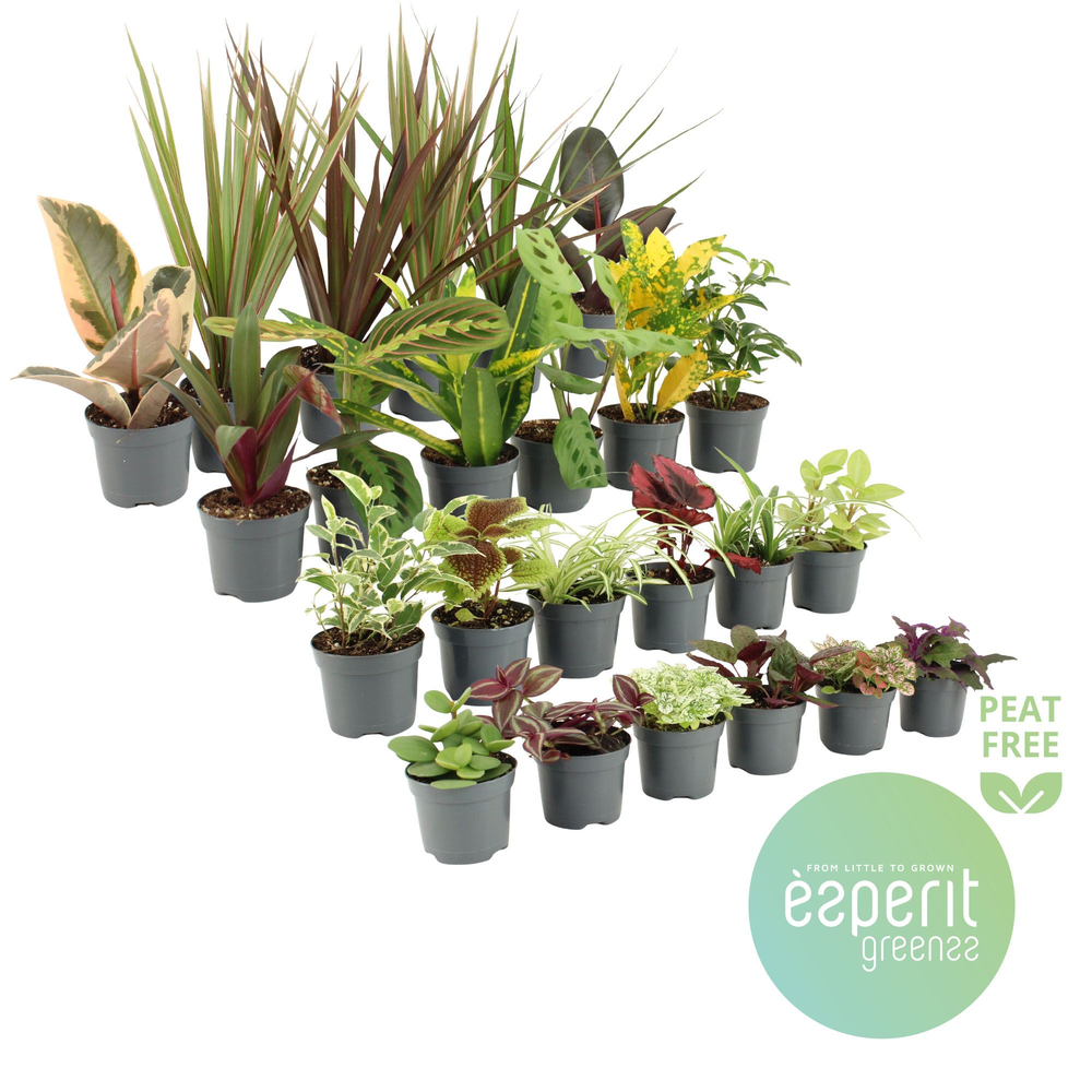 Groenmix Greenss 20-24 srt.