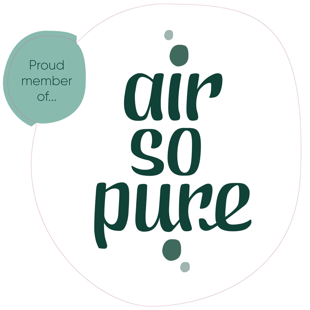 Strelitzia Nicolai p27 (Air so Pure).