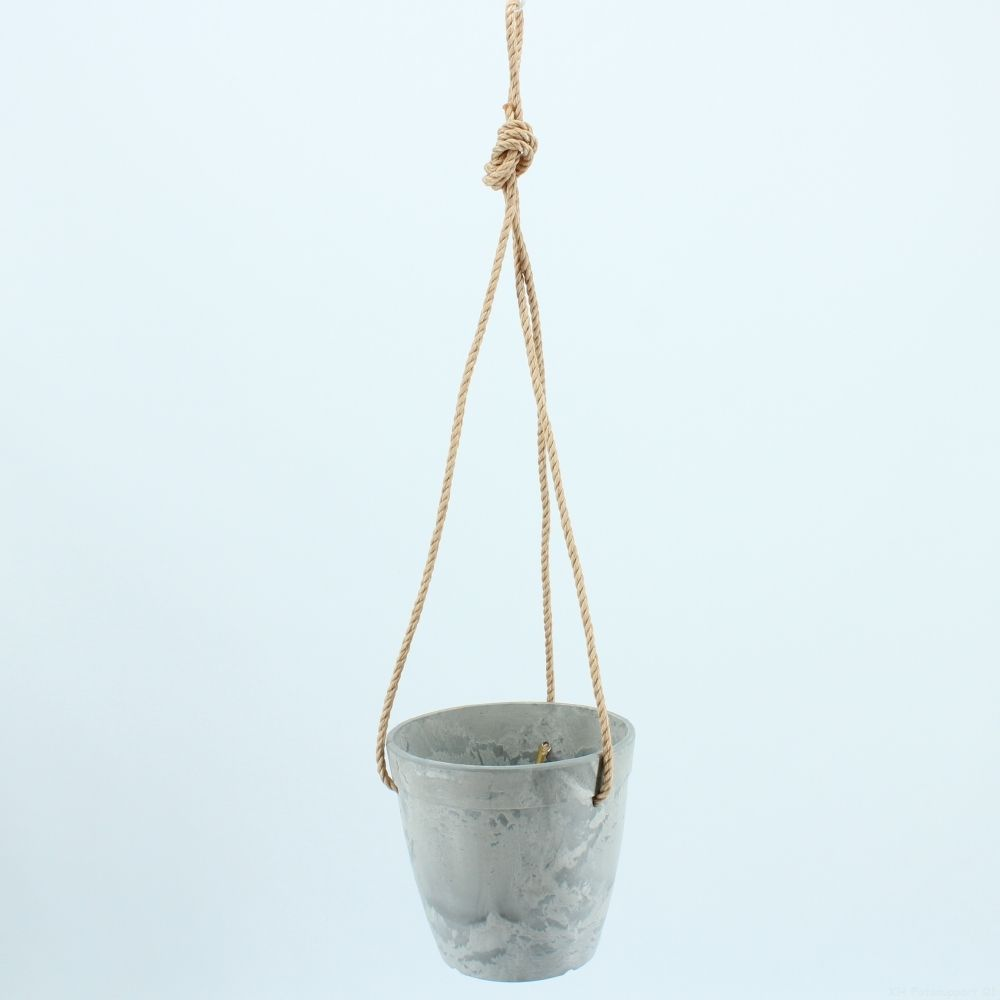 Aeschynanthus Japhrolepis incl. sierpot met touw.