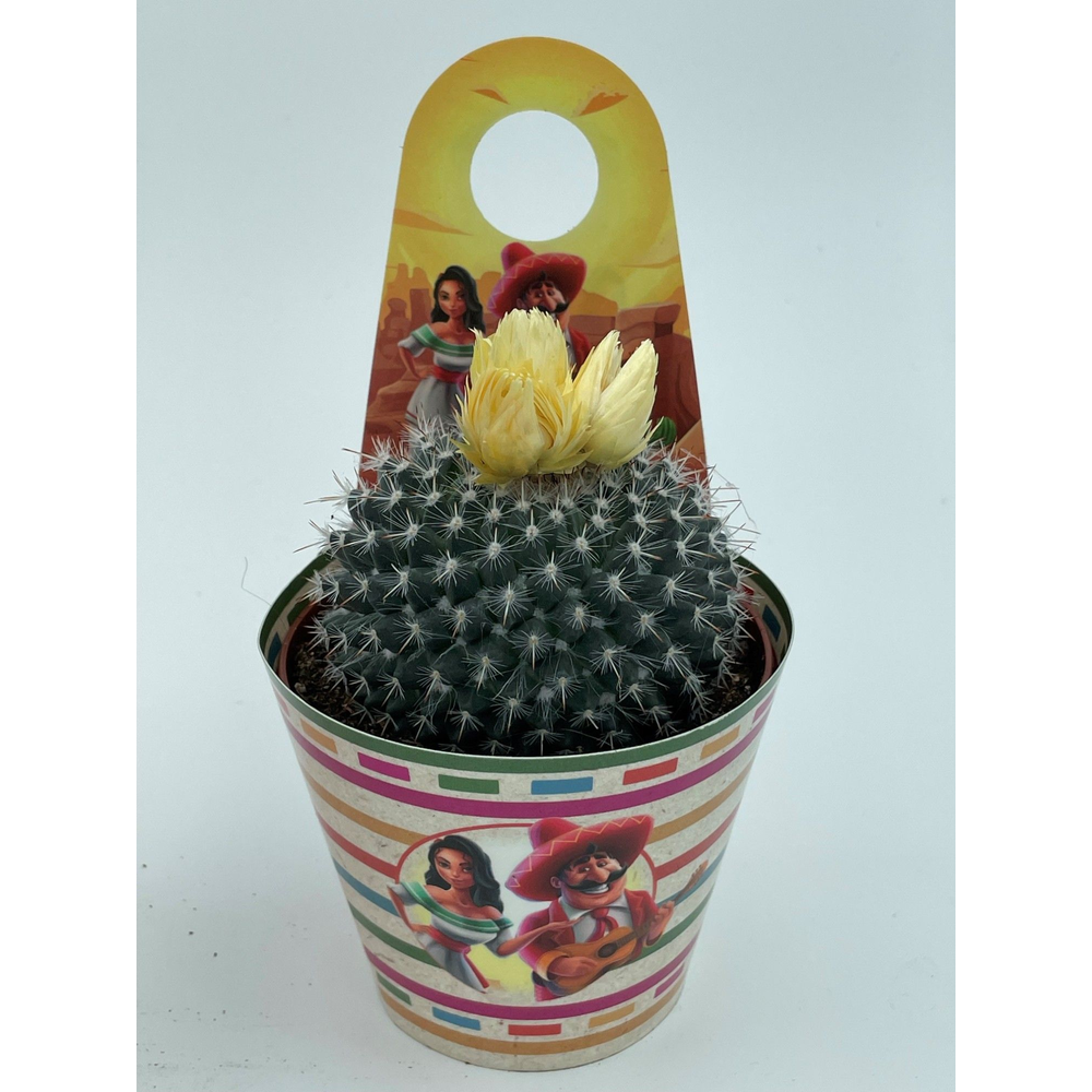 Mexico SIER carry cover cactus 8,5 cm.