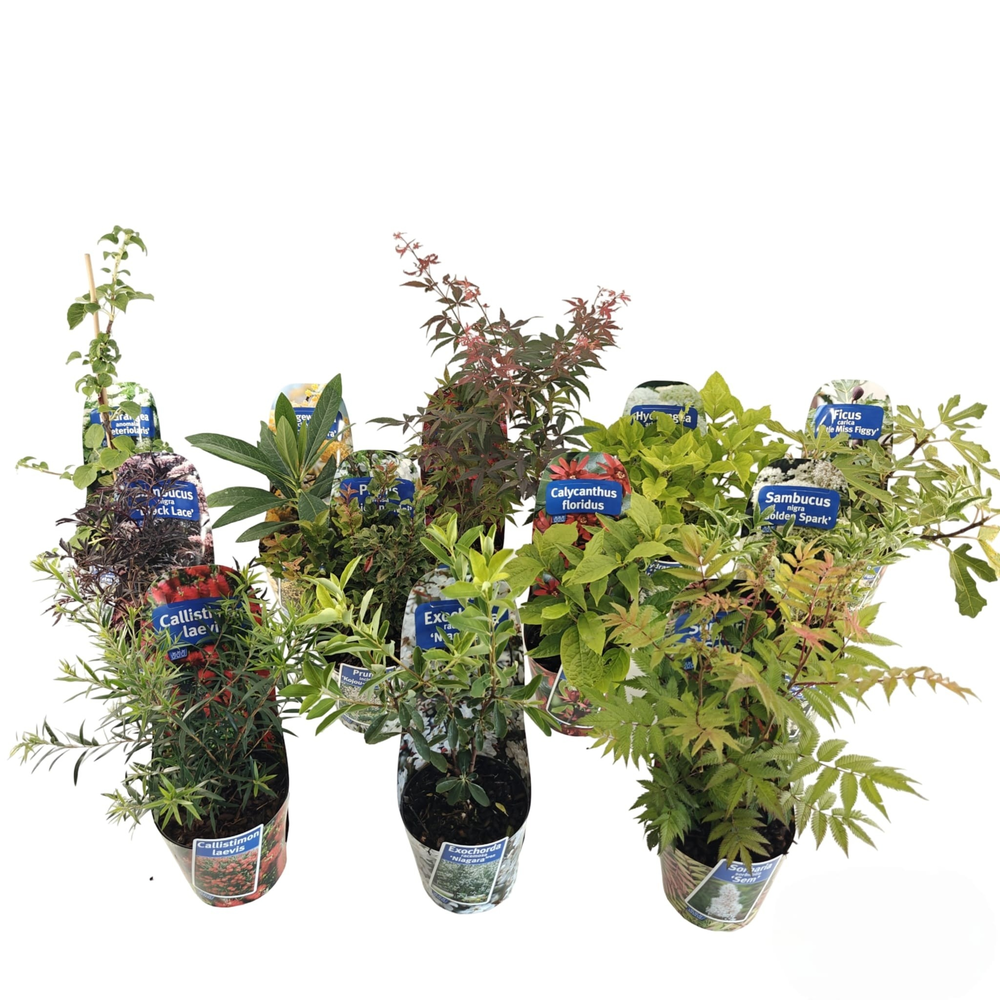 Potcover mix (minimum order one layer).