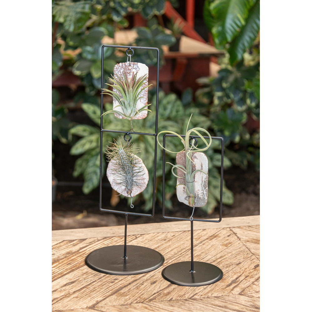 Tilly Tiles in Design Frame Double.