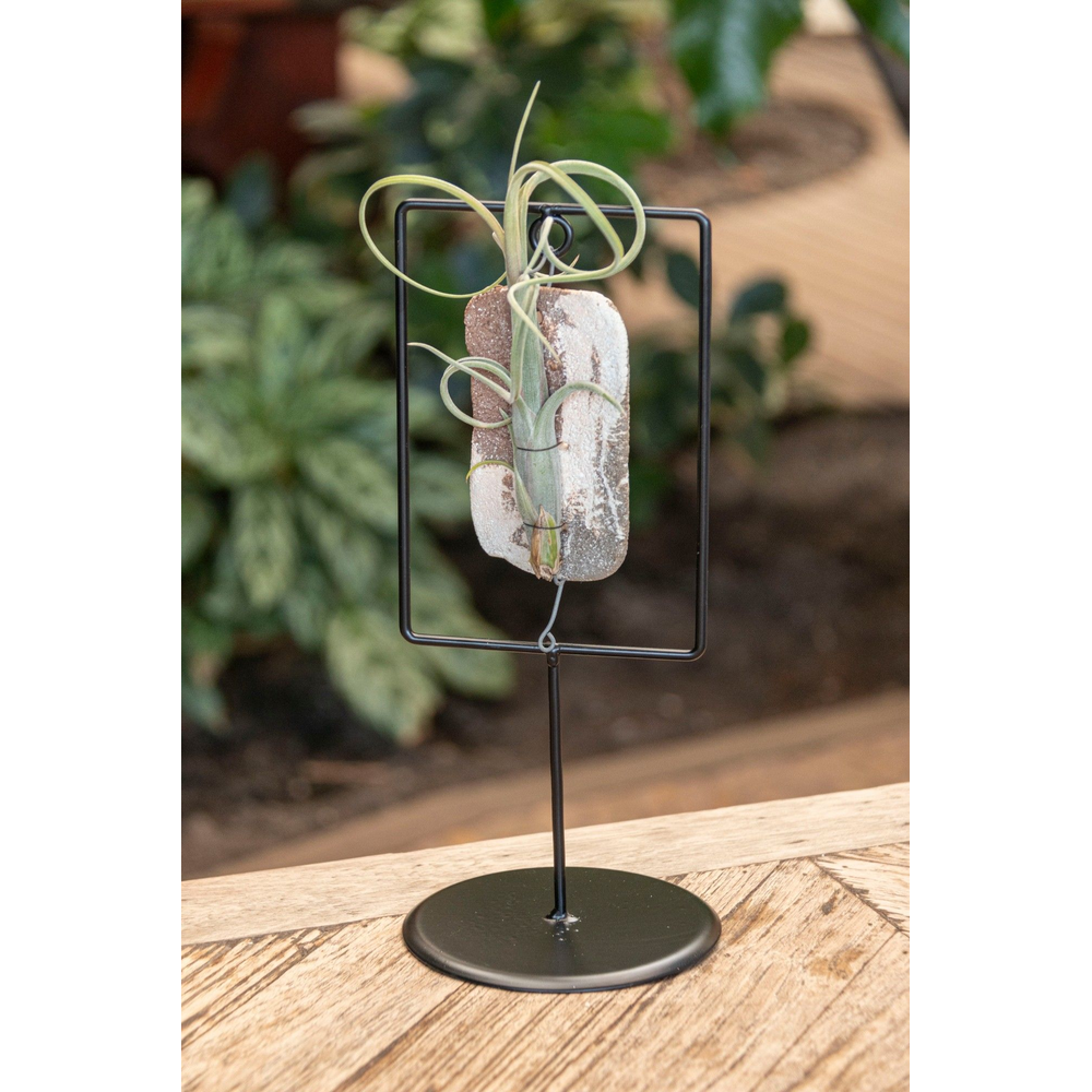 Tilly Tiles in Design Frame Single.