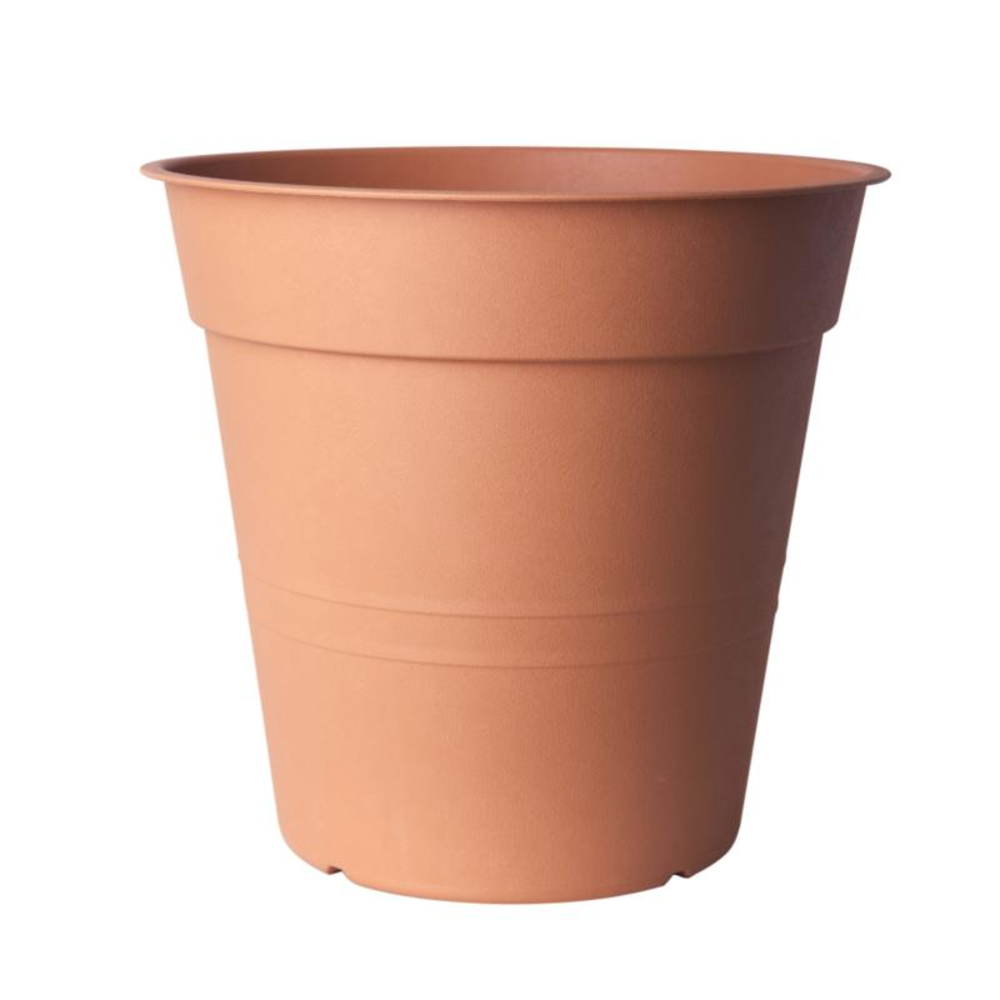 Flower Pot Camelie 21.
