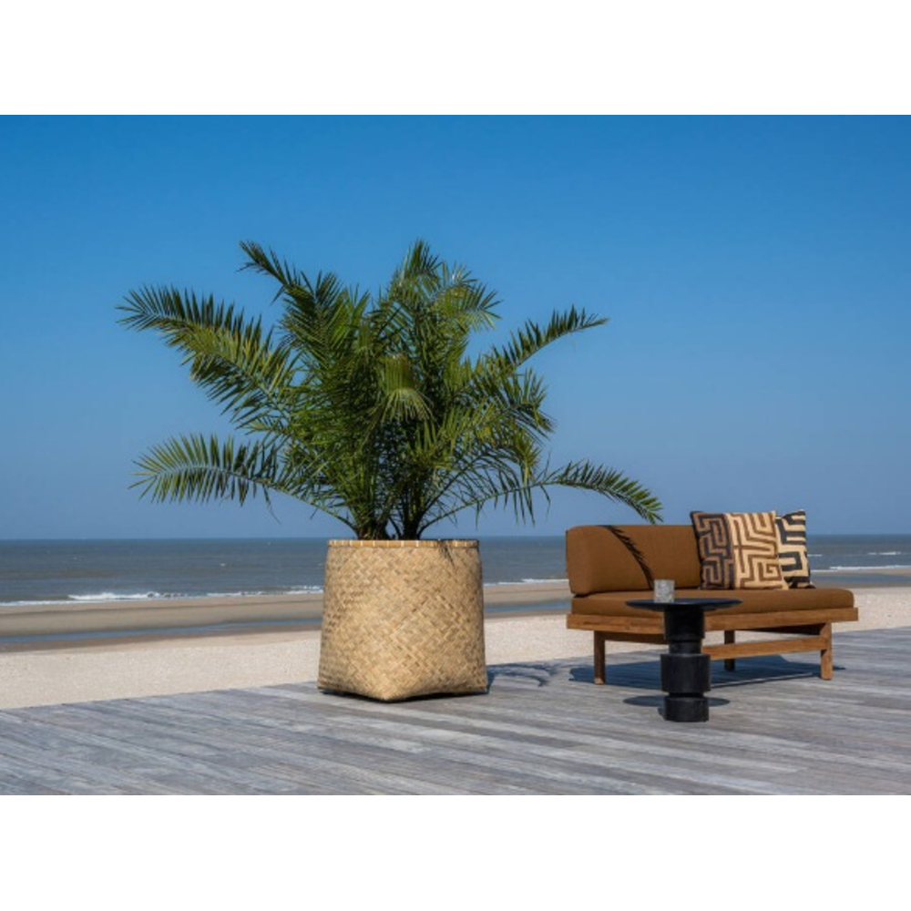 Miljøbillede med Zayn XS, Bamboo.