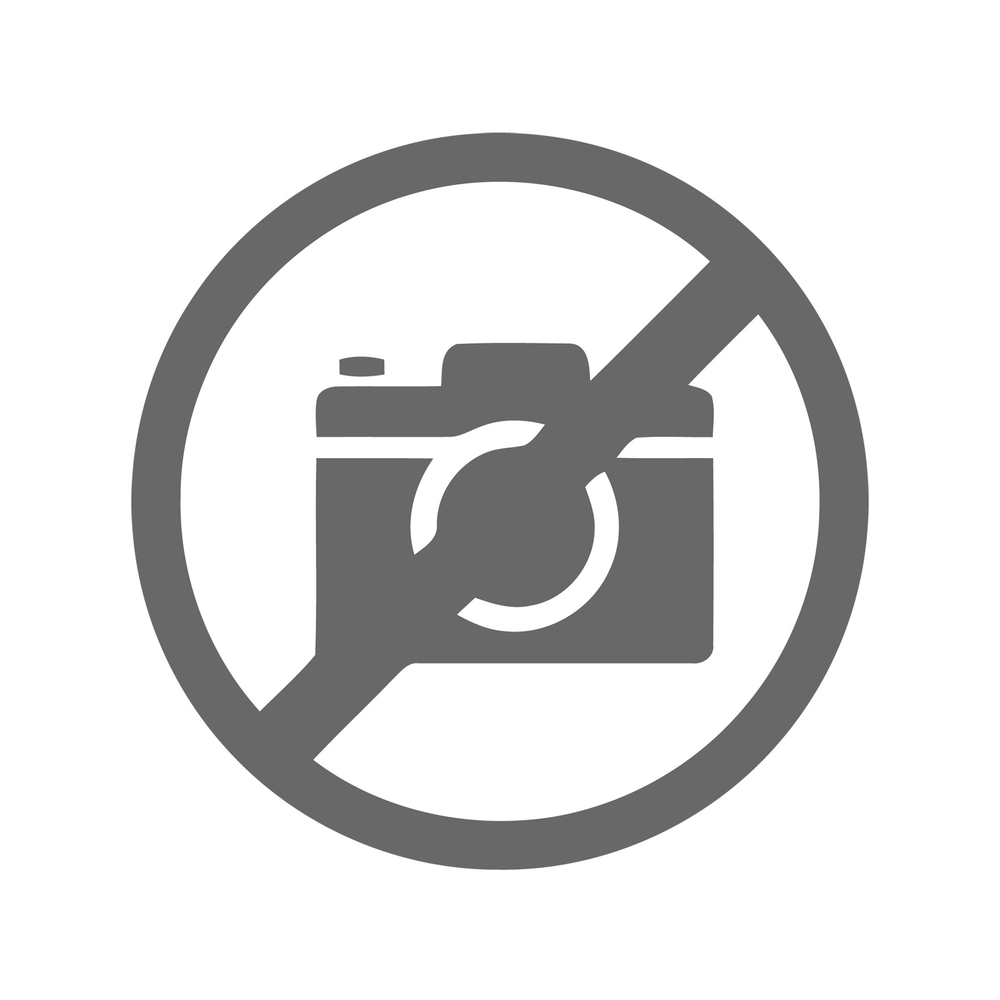 Beaucarnea vertakt op nummer 06.