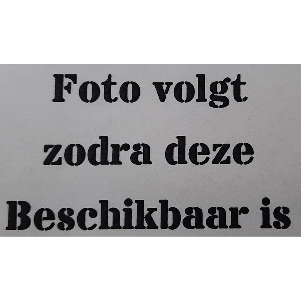 Acer pal. 'Yezo nishiki'.