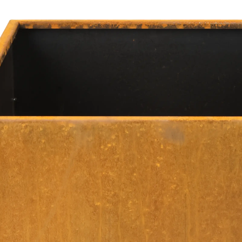 Arion Cortensteel Cubis 50.