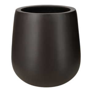 Donga Low EU Nutmeg.